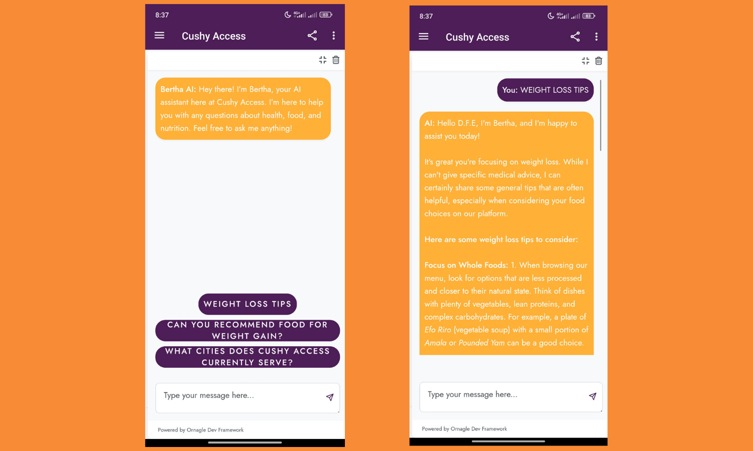 Cushy Access AI Integration